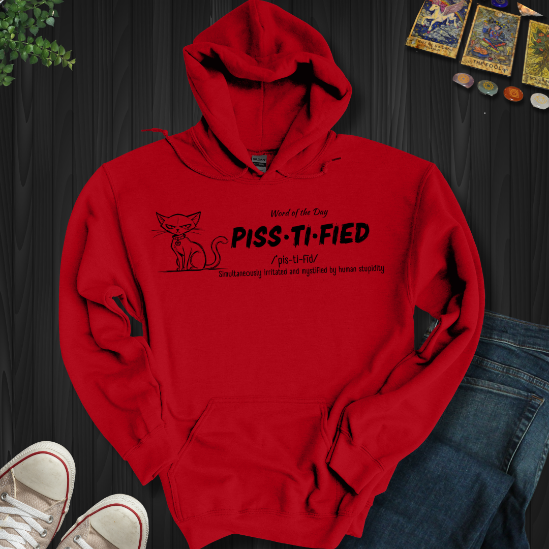 Word Of The Day Hooded Sweatshirt
