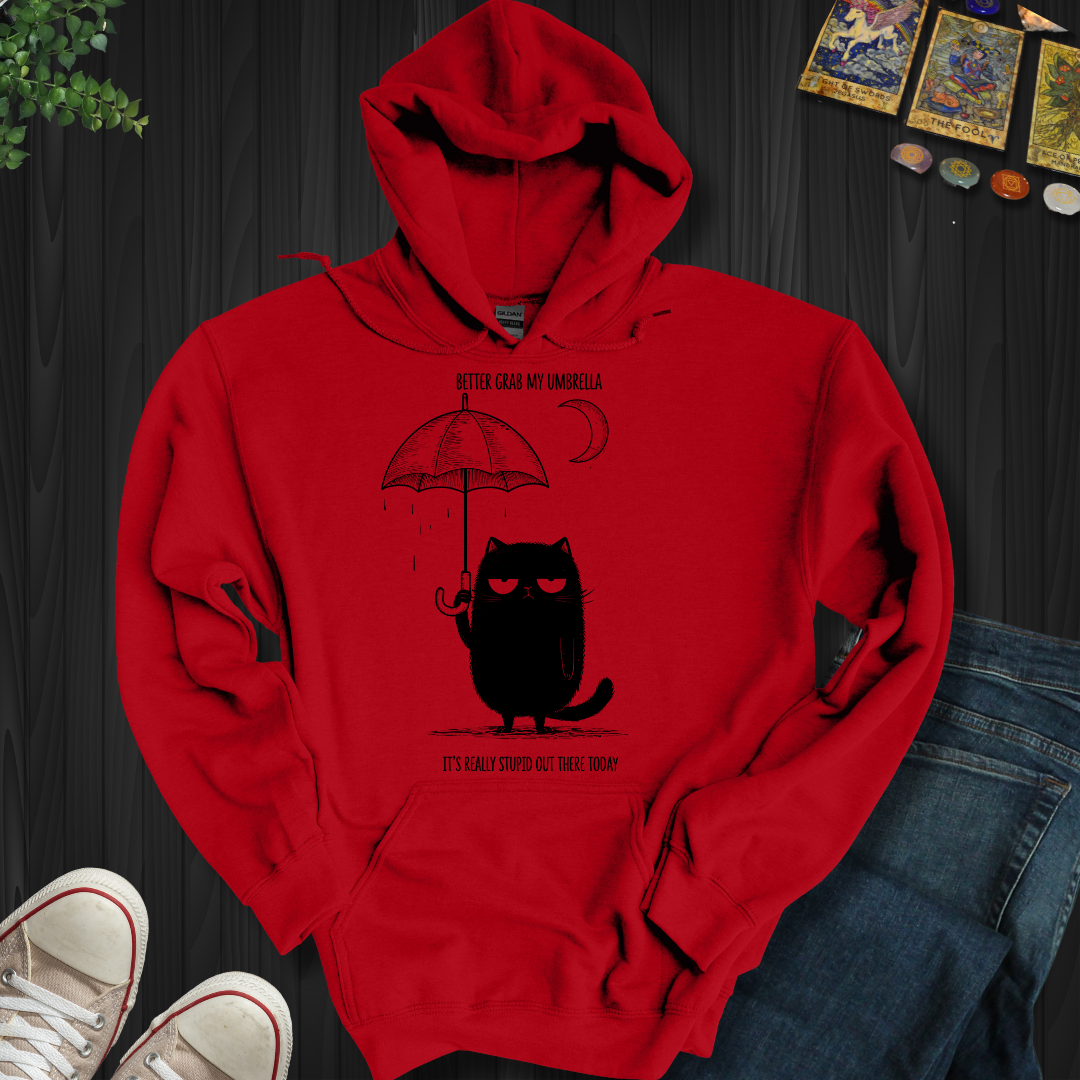Better Grab My Umbrella Hooded Sweatshirt