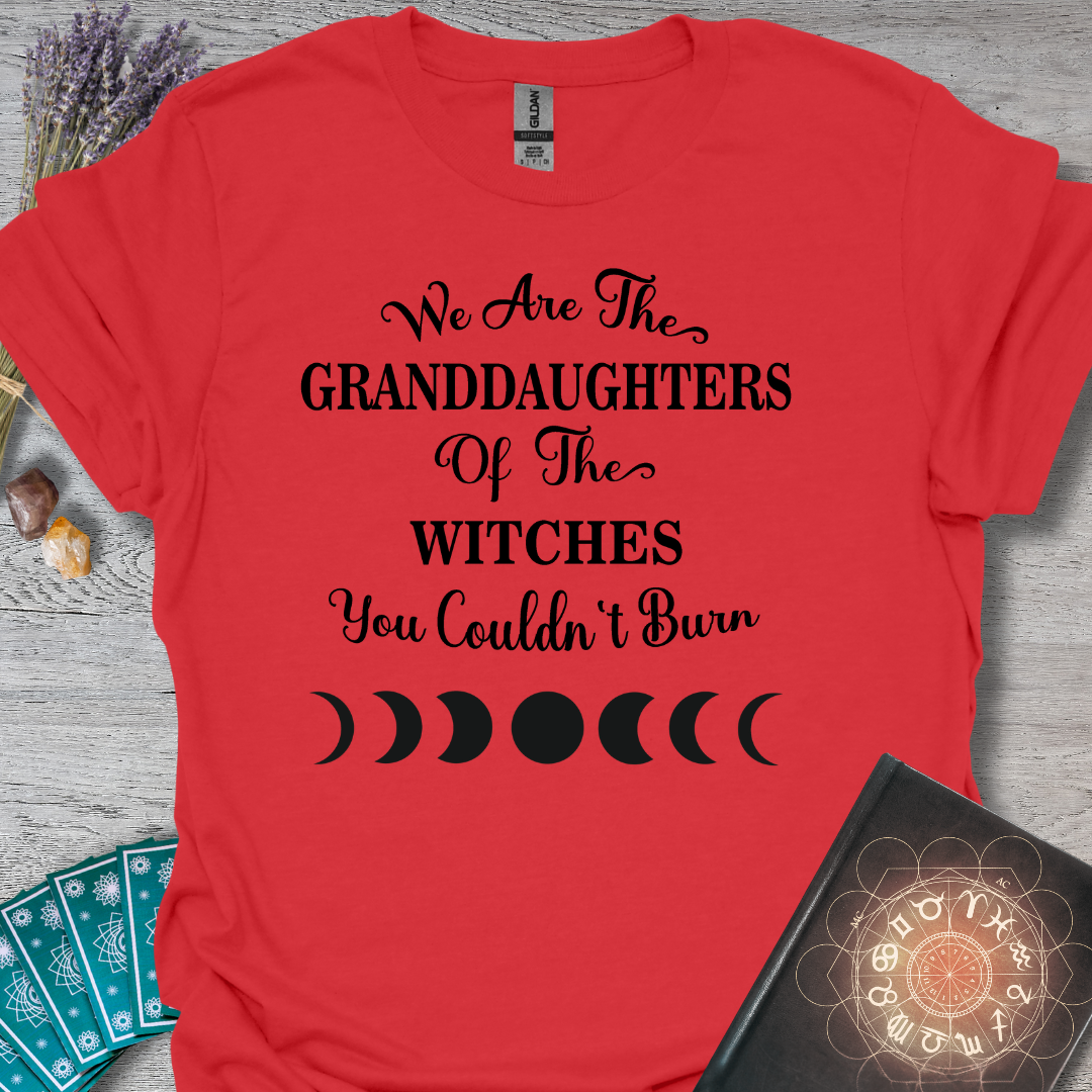 We Are The Granddaughters (black) T-Shirt