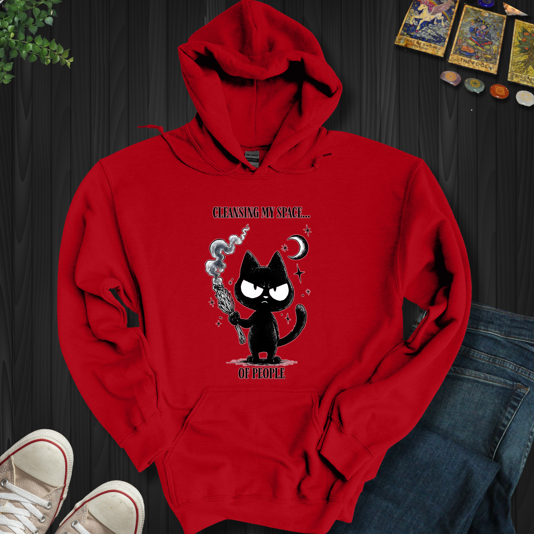 Cleansing My Space Hooded Sweatshirt