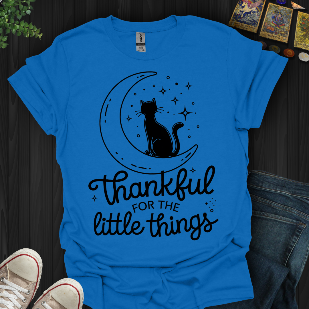 Thankful for the Little Things T-Shirt