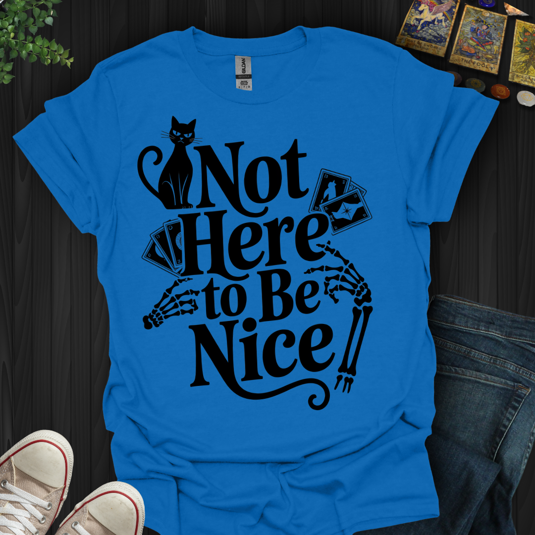 Not Here to Be Nice T-Shirt
