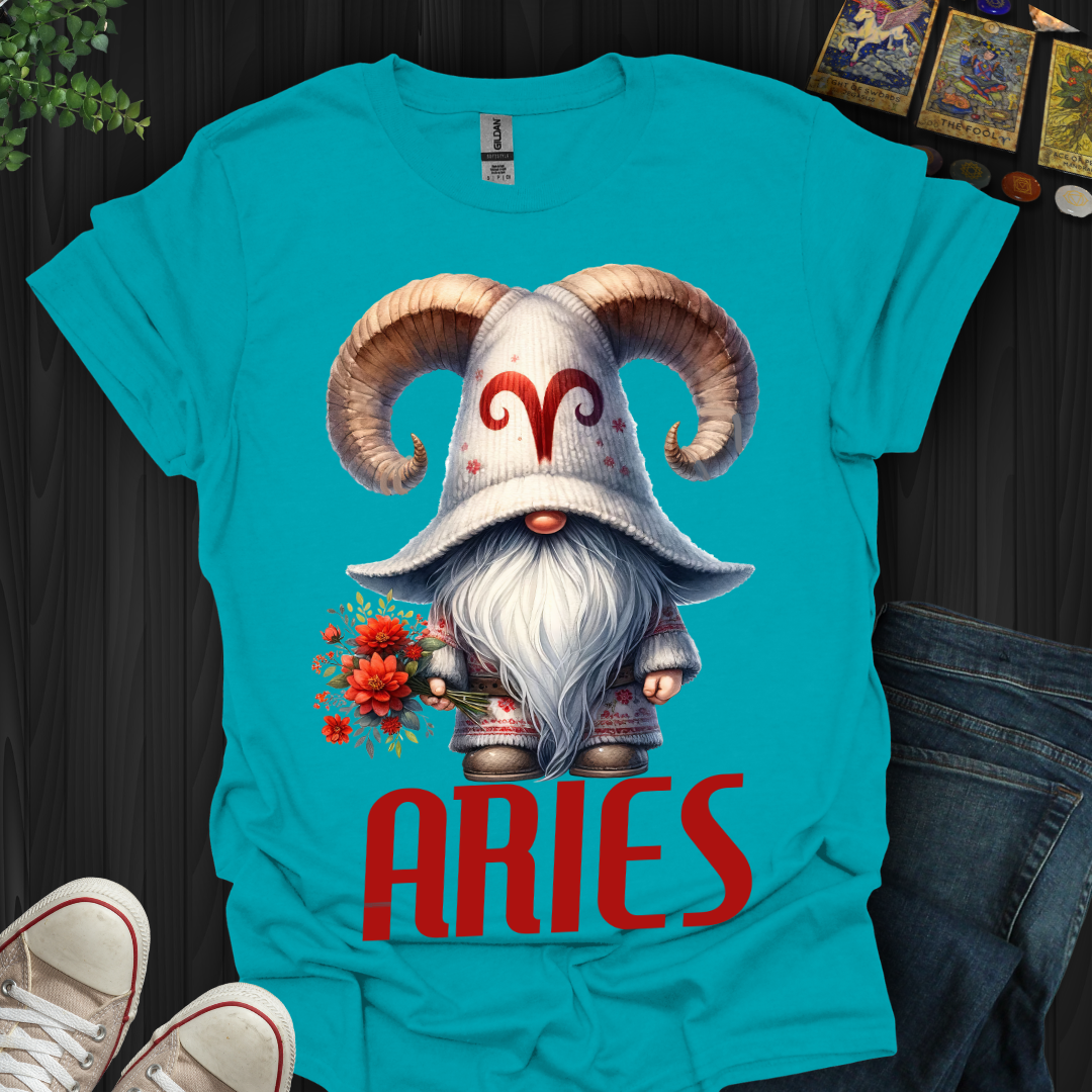 Aries Gnome 2 T-Shirt