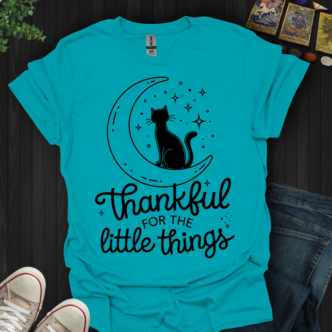 Thankful for the Little Things T-Shirt