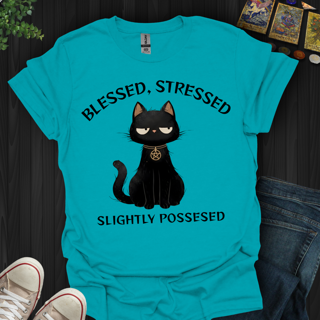 Blessed, Stressed, Slightly Possessed T-Shirt