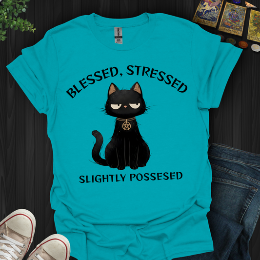 Blessed, Stressed, Slightly Possessed T-Shirt