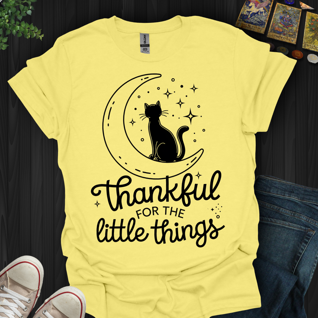 Thankful for the Little Things T-Shirt