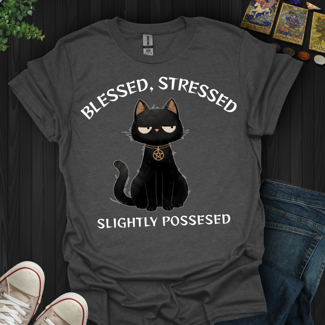 Blessed, Stressed, Slightly Possessed T-Shirt
