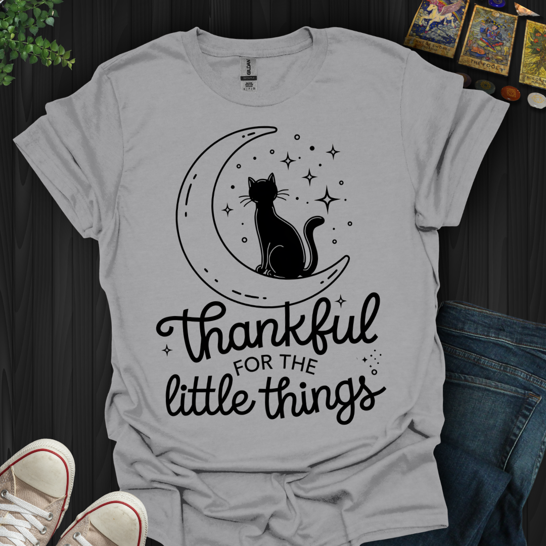 Thankful for the Little Things T-Shirt