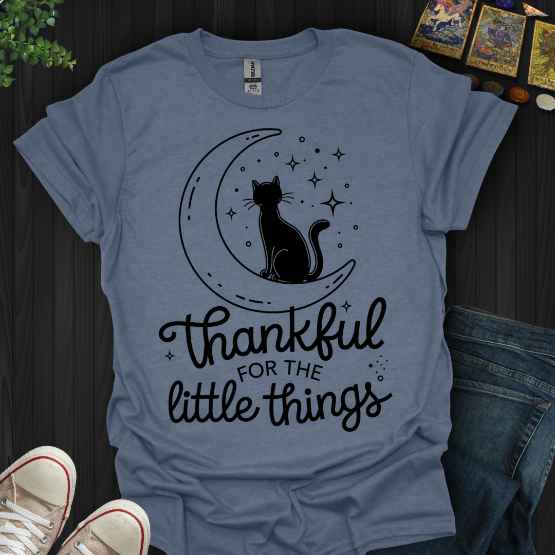 Thankful for the Little Things T-Shirt