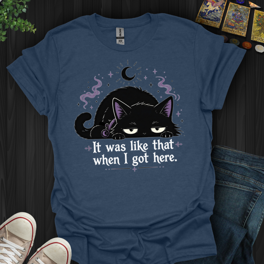 It Was Like That When I Got Here T-Shirt