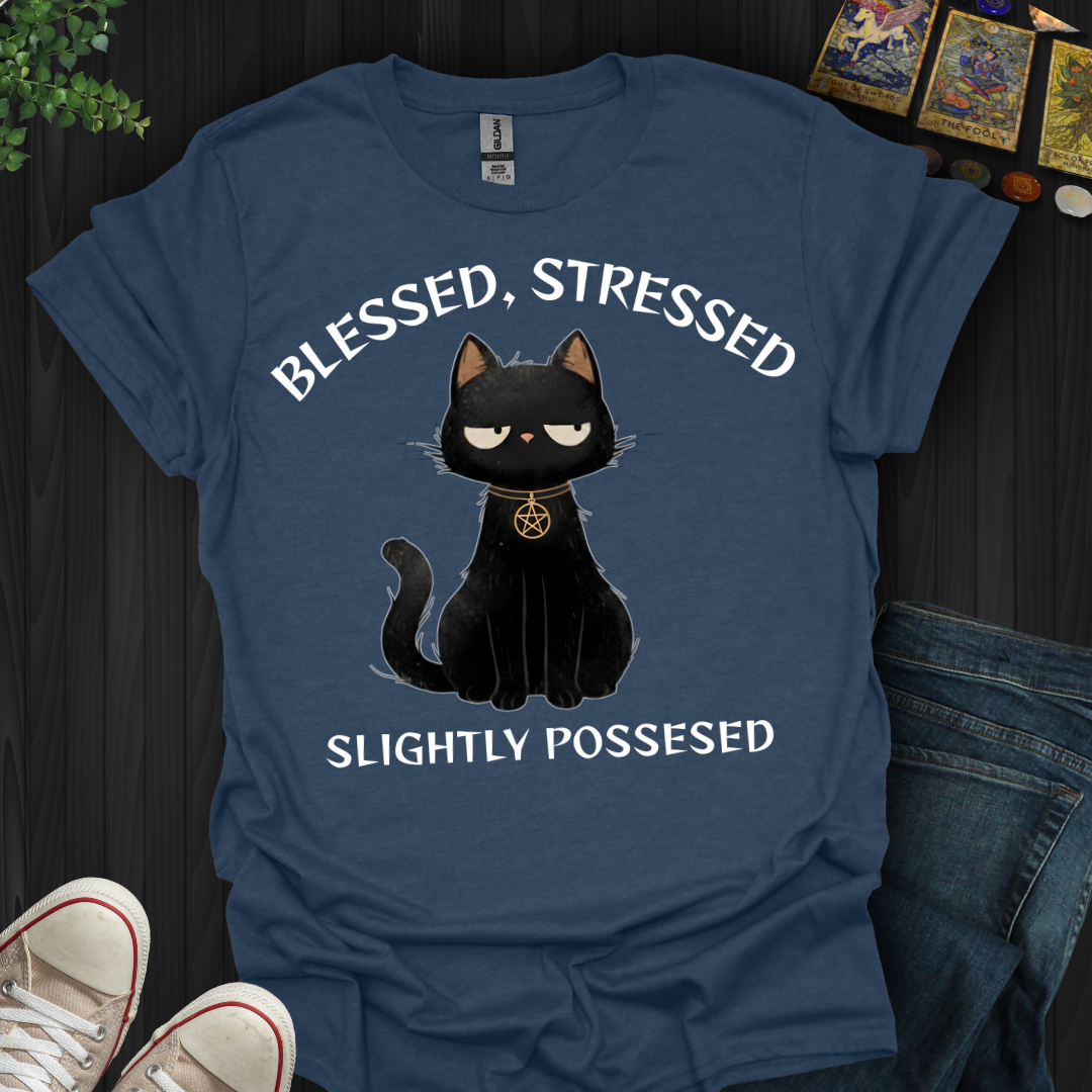 Blessed, Stressed, Slightly Possessed T-Shirt