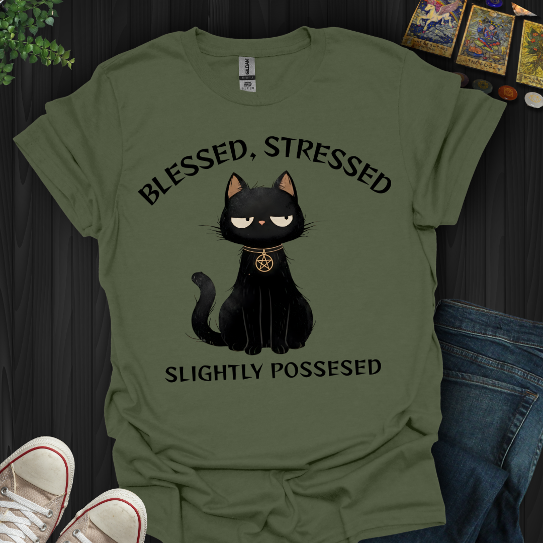 Blessed, Stressed, Slightly Possessed T-Shirt