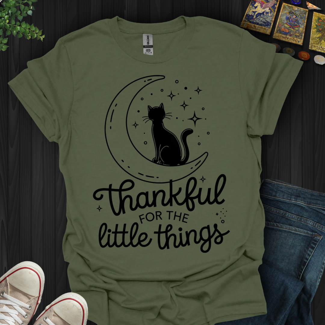 Thankful for the Little Things T-Shirt