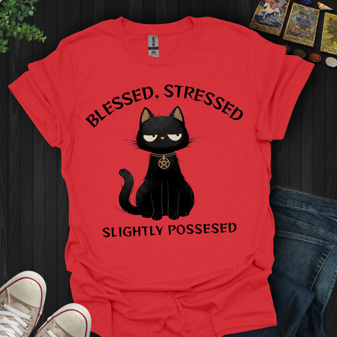 Blessed, Stressed, Slightly Possessed T-Shirt