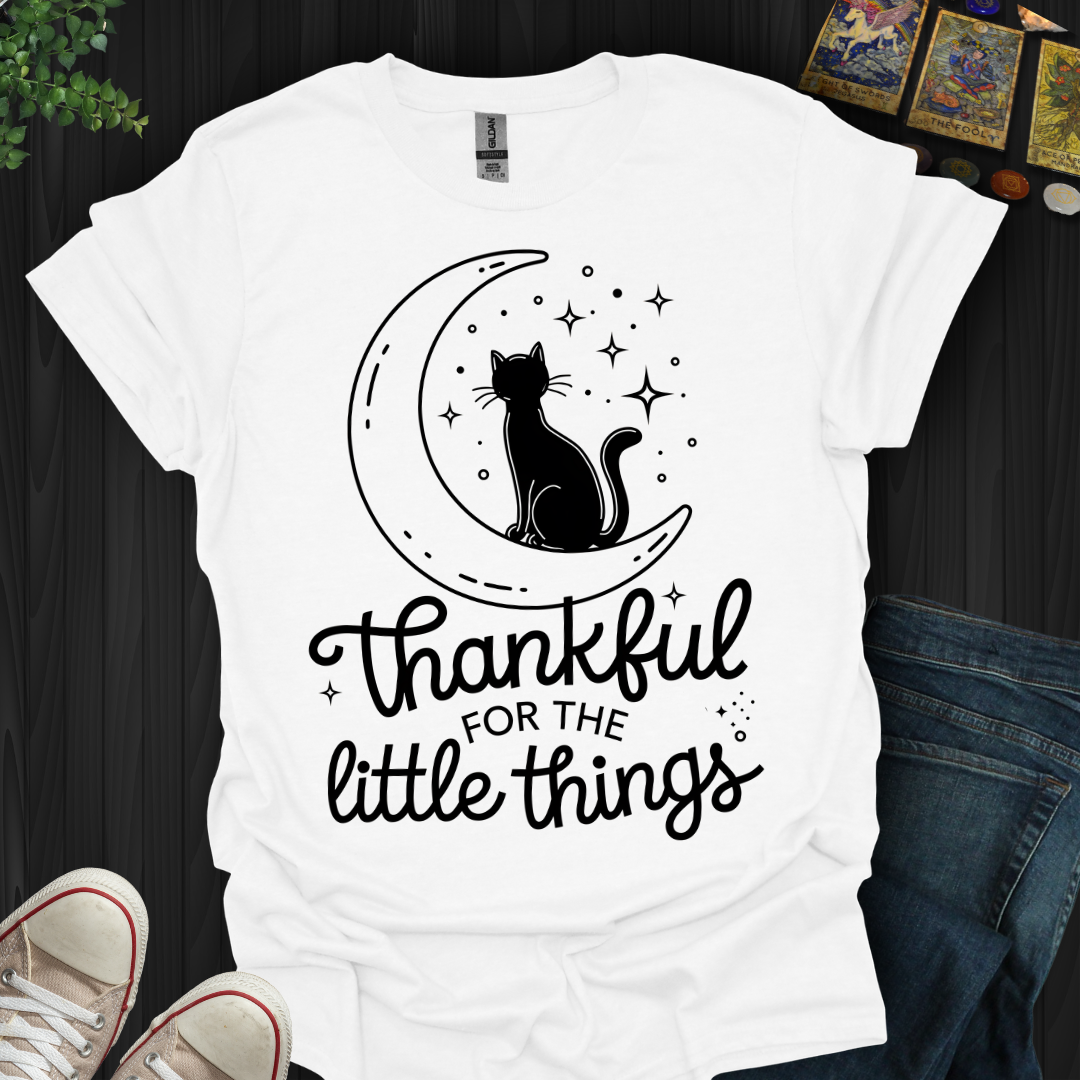Thankful for the Little Things T-Shirt