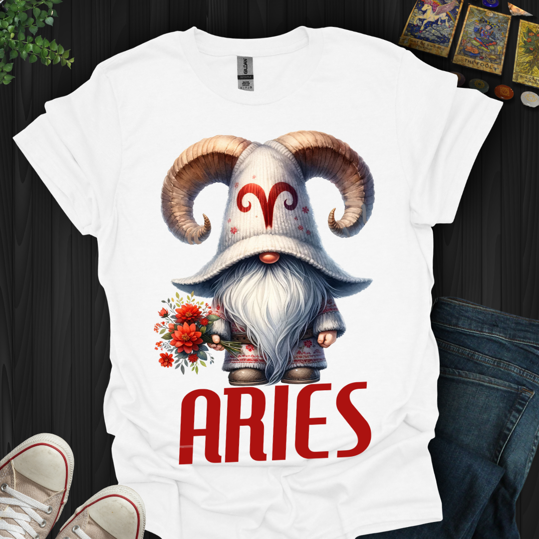 Aries Gnome 2 T-Shirt